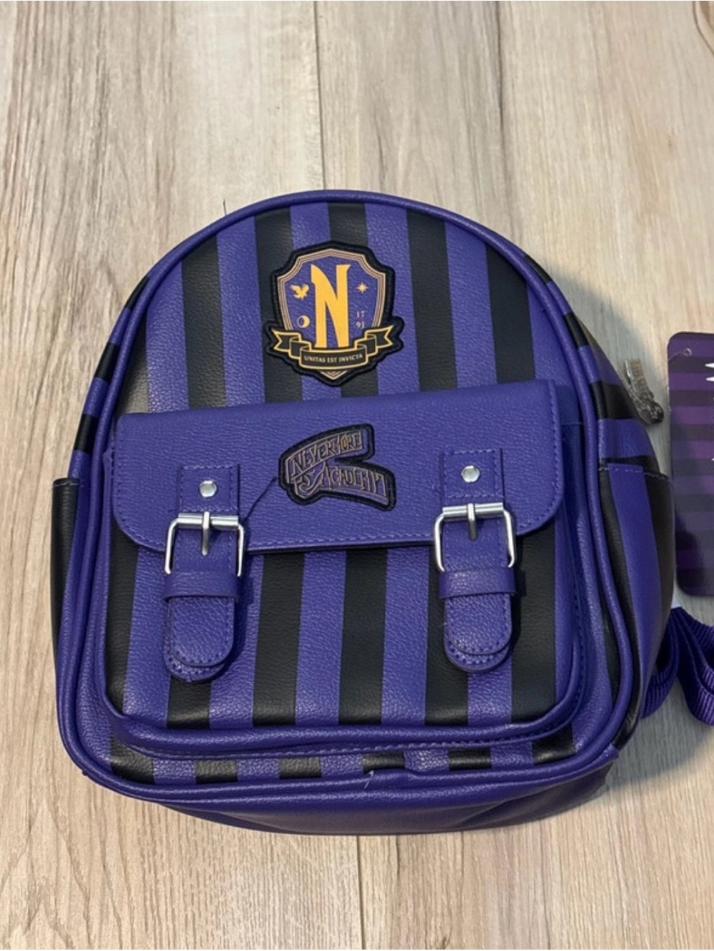 Nevermore Academy Purple & Black Striped Mini Backpack